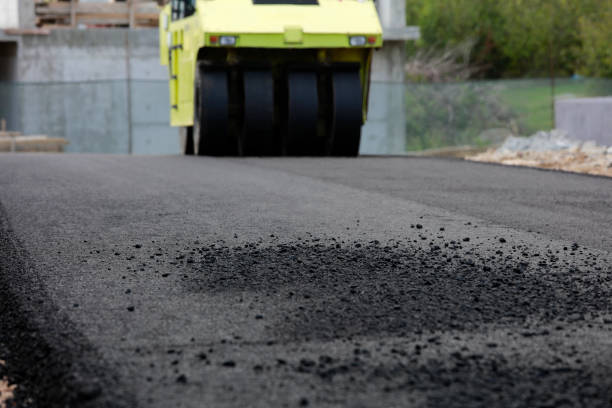 Best Driveway Pavers Near Me  in Wauchula, FL